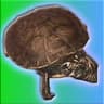 BayTurtleKing