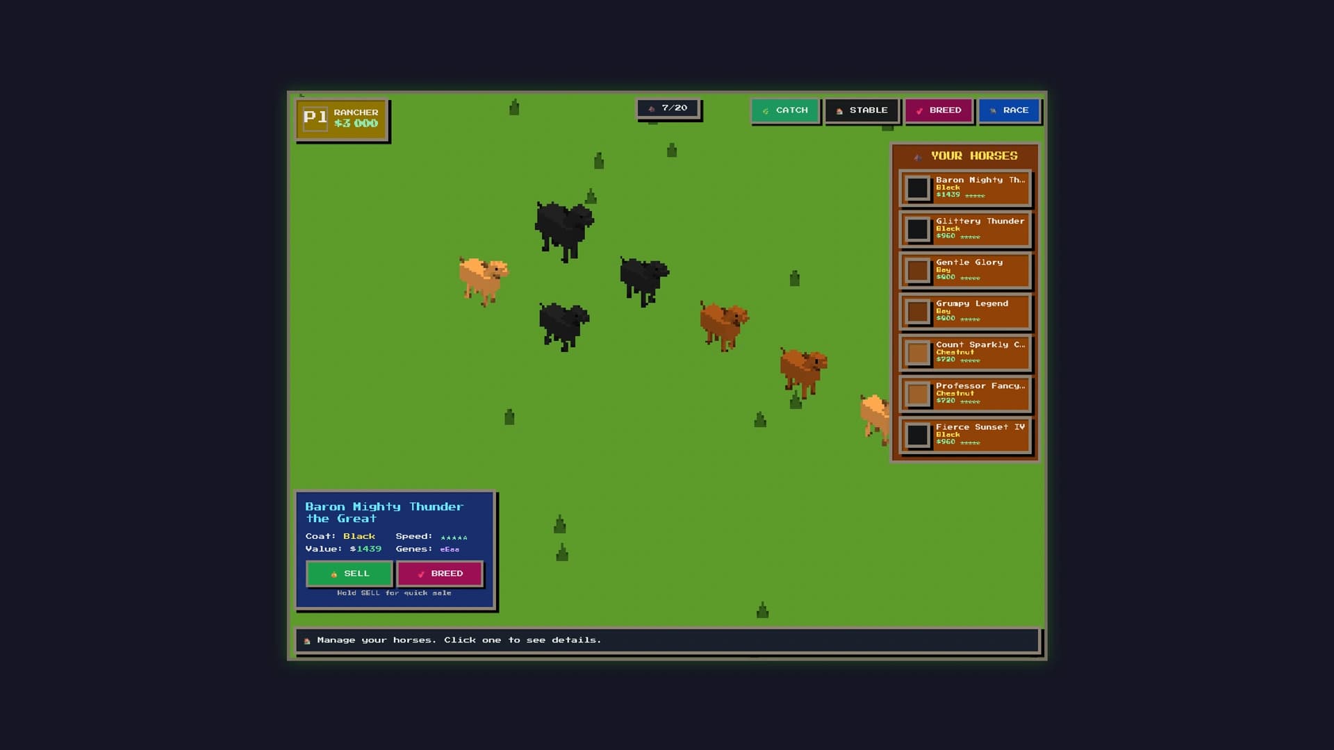 Dorohorses (UPDATE 20/02)